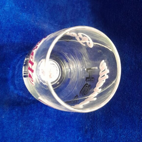 10 Bachelorette Bash Glasses - Picture 5 of 5